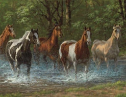 Summer Creek 500pc Puzzle