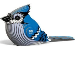 Blue Jay Eugy
