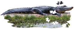 I Am Lil Gator 100pc Puzzle