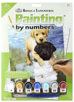 Royal Brush Paint By Number Junior Small Fishin' Buddies