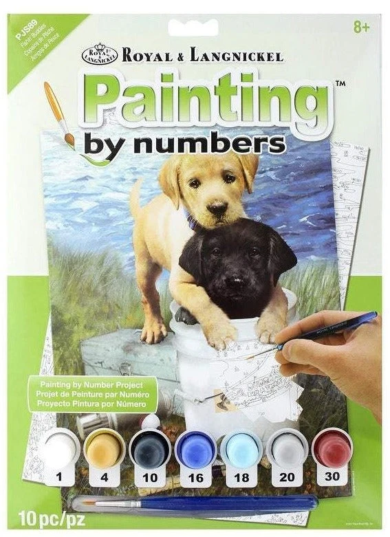Royal Brush Paint By Number Junior Small Fishin' Buddies